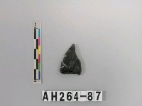 藏品(打製石鏃)的圖片